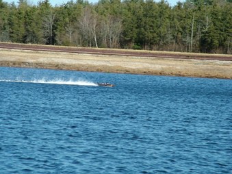Enlarge photo 1450