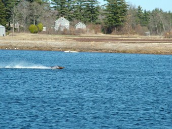 Enlarge photo 1465