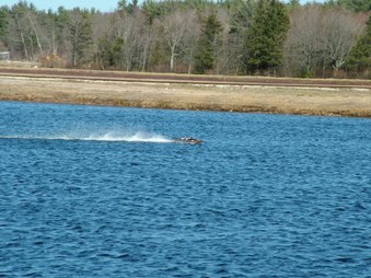 Enlarge photo 1466