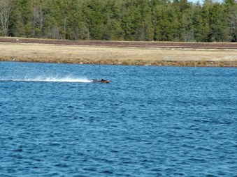 Enlarge photo 1467