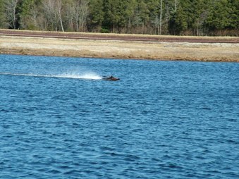 Enlarge photo 1468