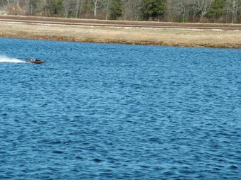 Enlarge photo 1478