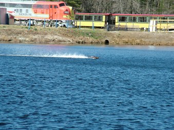 Enlarge photo 1487