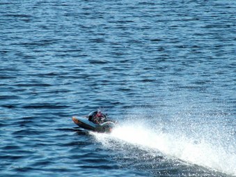 Enlarge photo 1495