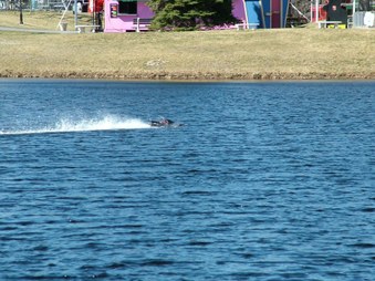Enlarge photo 1497