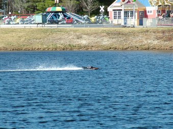Enlarge photo 1498