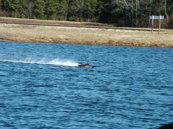 Enlarge photo 1507