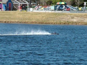 Enlarge photo 1513