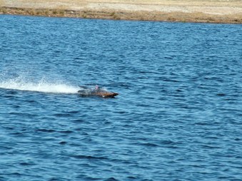 Enlarge photo 1520