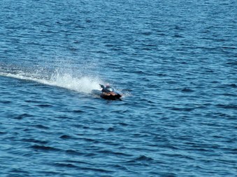 Enlarge photo 1521
