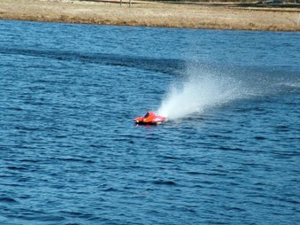Enlarge photo 1556