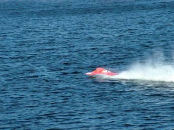 Enlarge photo 1557