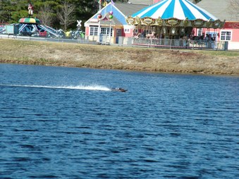 Enlarge photo 1562