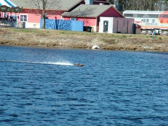 Enlarge photo 1563