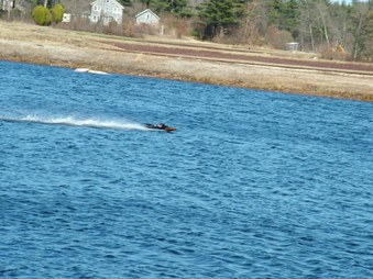 Enlarge photo 1568