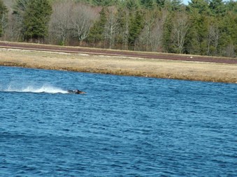 Enlarge photo 1569