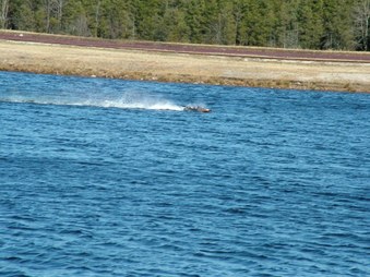 Enlarge photo 1570