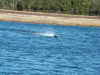 Enlarge photo 1572