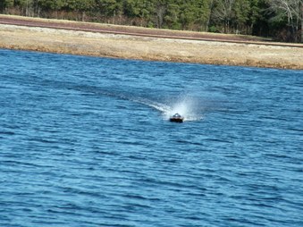 Enlarge photo 1573