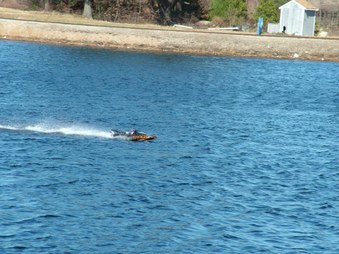 Enlarge photo 1585