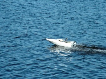Enlarge photo 1598