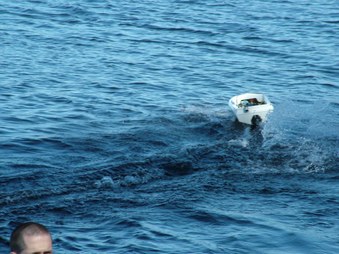Enlarge photo 1605