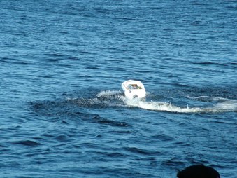 Enlarge photo 1607
