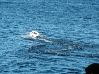 Enlarge photo 1608