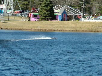 Enlarge photo 1610