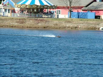 Enlarge photo 1612
