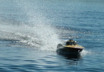 Enlarge photo 97