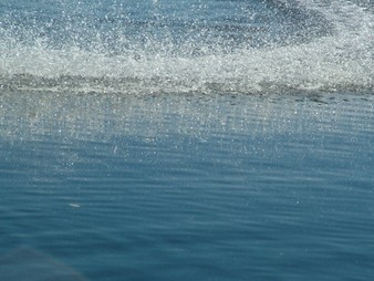 Enlarge photo 169