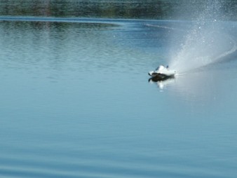 Enlarge photo 172