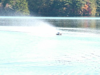 Enlarge photo 177