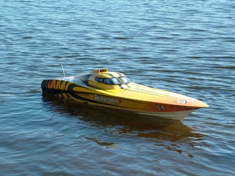 Enlarge photo 182