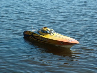 Enlarge photo 183