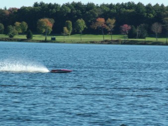 Enlarge photo 219