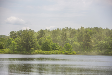 Enlarge photo 66