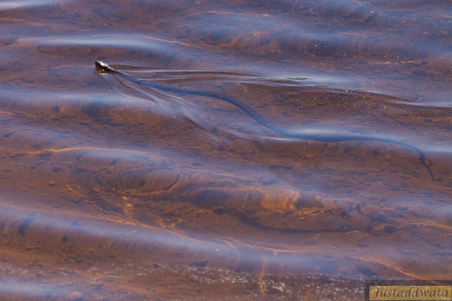Enlarge photo 43