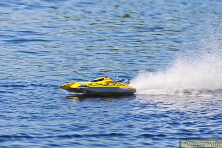 Enlarge photo 75