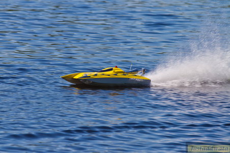 Enlarge photo 76