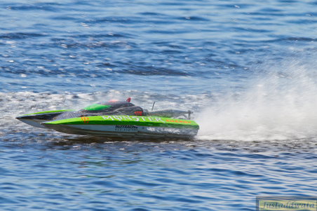 Enlarge photo 105