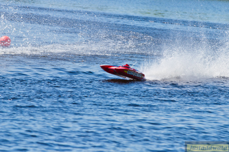 Enlarge photo 122