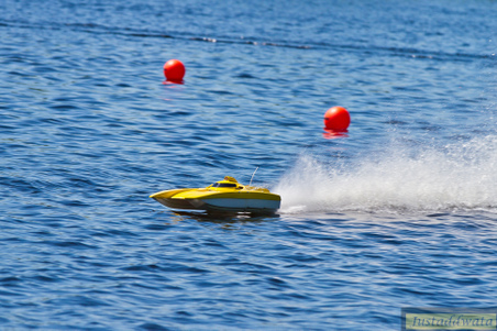 Enlarge photo 160