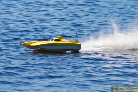 Enlarge photo 161