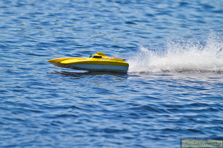 Enlarge photo 172