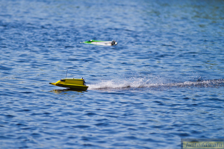 Enlarge photo 203