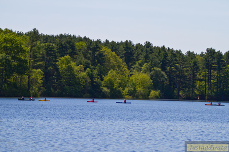 Enlarge photo 208