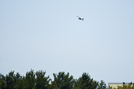 Enlarge photo 211