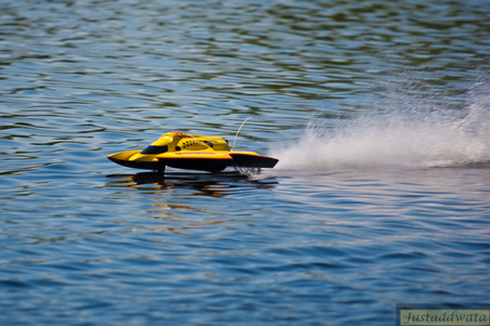 Enlarge photo 233